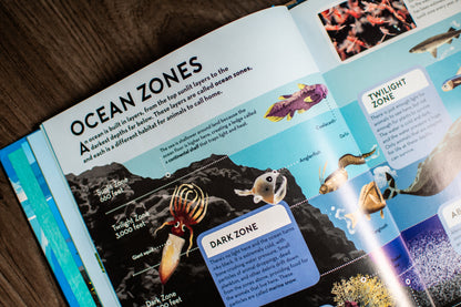 Big Builds: Oceans – Interactive STEM Book & 3D Ocean Model | Ages 8+ | Press-Out Pieces