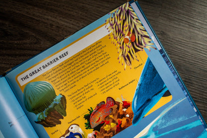 Big Builds: Oceans – Interactive STEM Book & 3D Ocean Model | Ages 8+ | Press-Out Pieces
