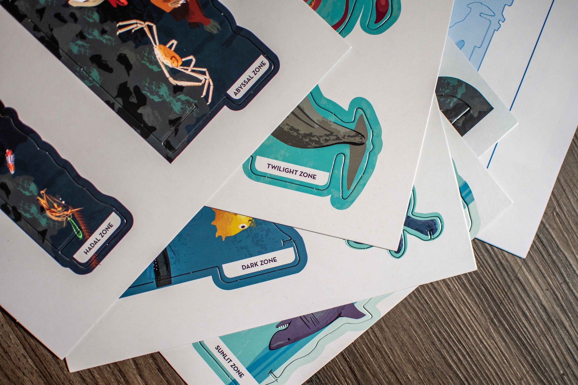 Big Builds: Oceans – Interactive STEM Book & 3D Ocean Model | Ages 8+ | Press-Out Pieces