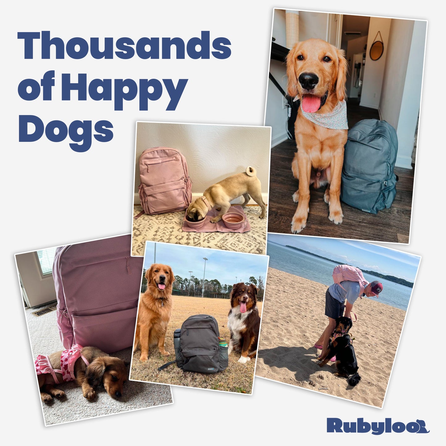 Rubyloo The Original Doggy Bag™ | Dog Supply Backpack | 6-Piece Set | 10 Pockets | 5 Colors