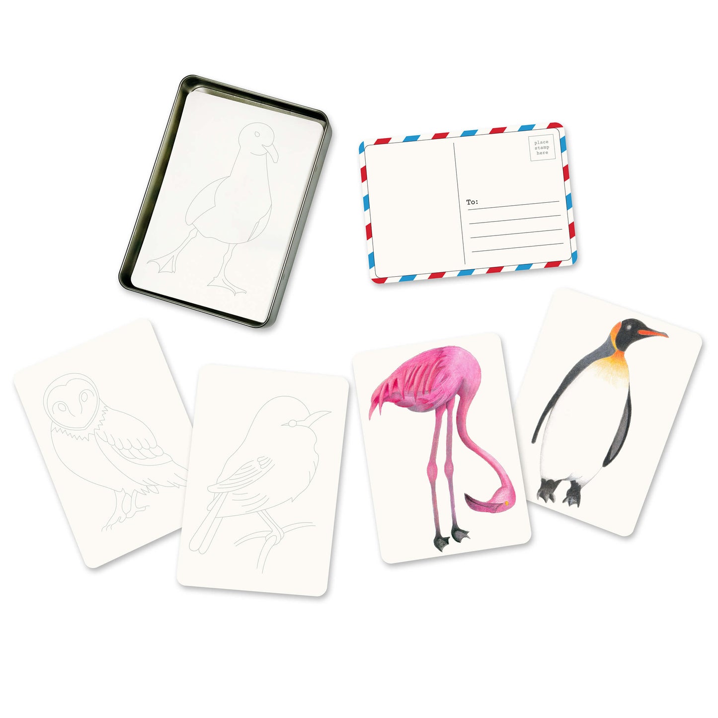 Coloring Postcards Set – 30 Cards, 6 Designs in Reusable Tin | Bird, Butterfly & Moth, or Animal | Watercolor & Pencil Ready