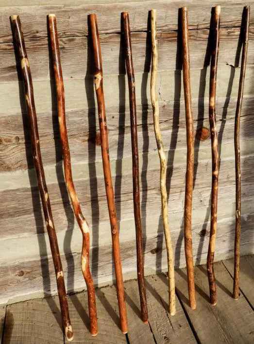 Set of hardwood hiking sticks, mixed dark brown and light cream wood