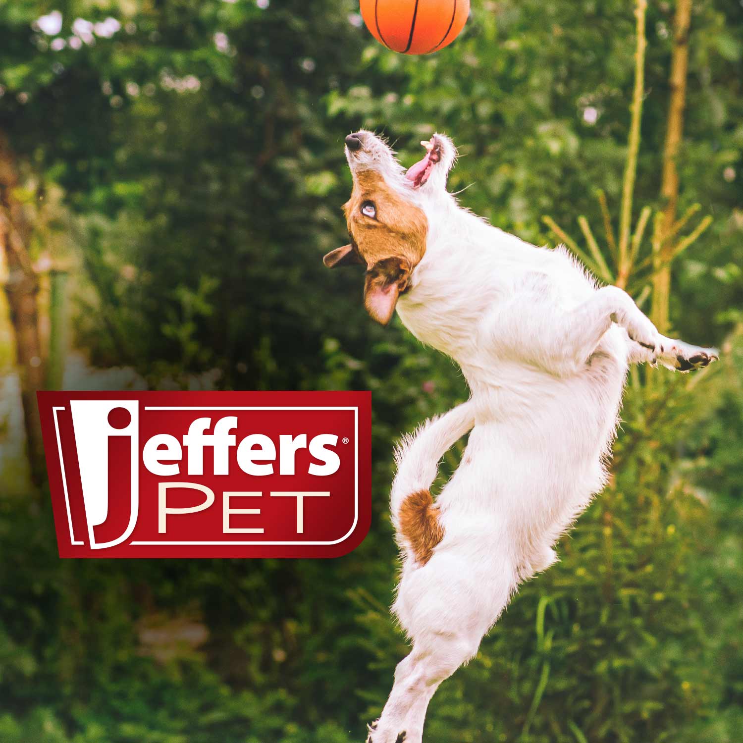 Jeffers Animal Cuddlers Plush Squeaky Dog Toys | 8" | Pink Pig or Gray/White Dog - Niksstuff
