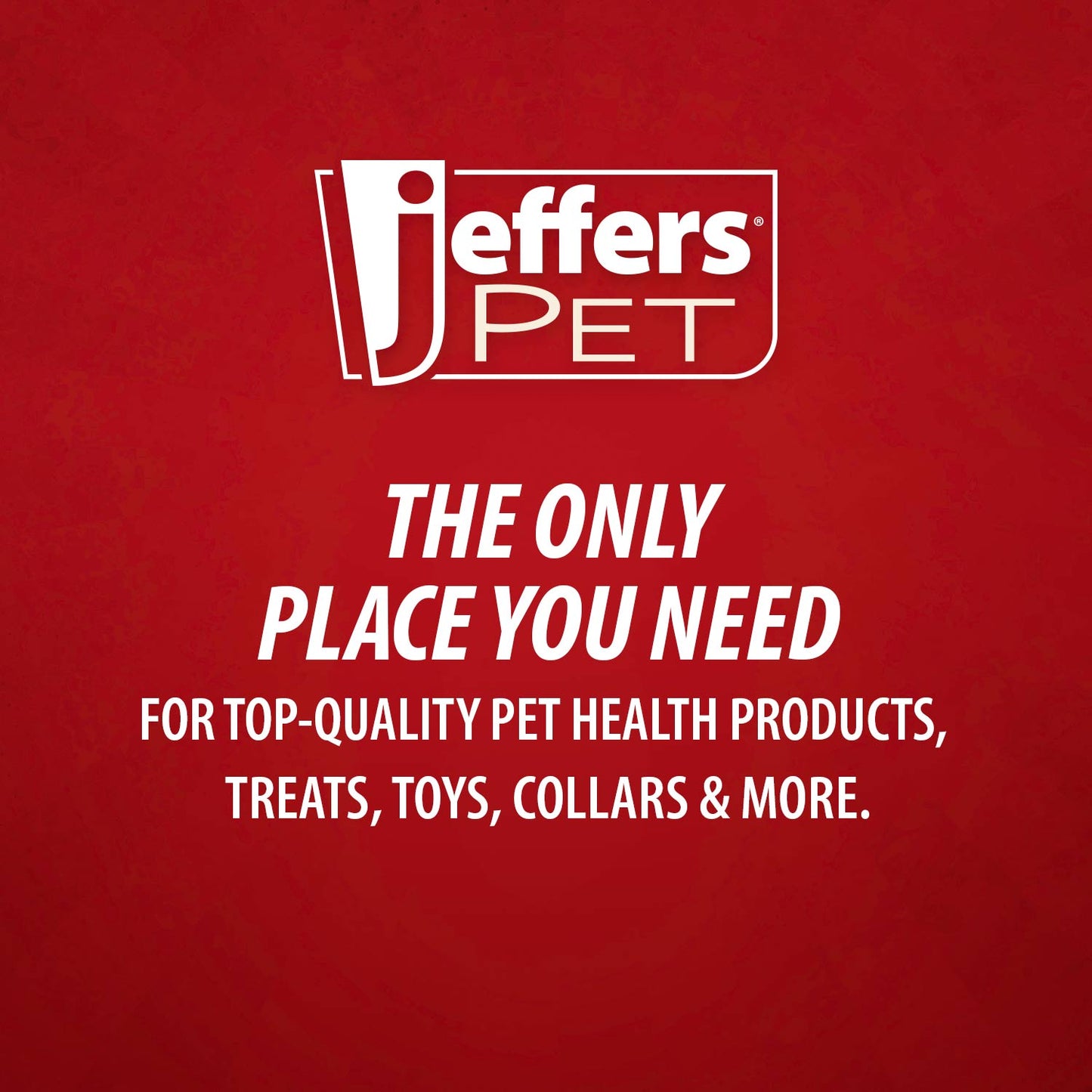 Jeffers T-Rex Dog Chew Toy | Treat Dispenser | Natural Rubber | Green | Small, Medium or Large | 1 or 2 Pack