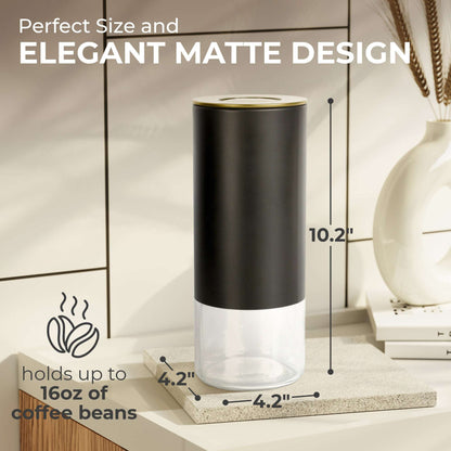 Kaffe 16oz Round Glass & Stainless Steel Storage Container