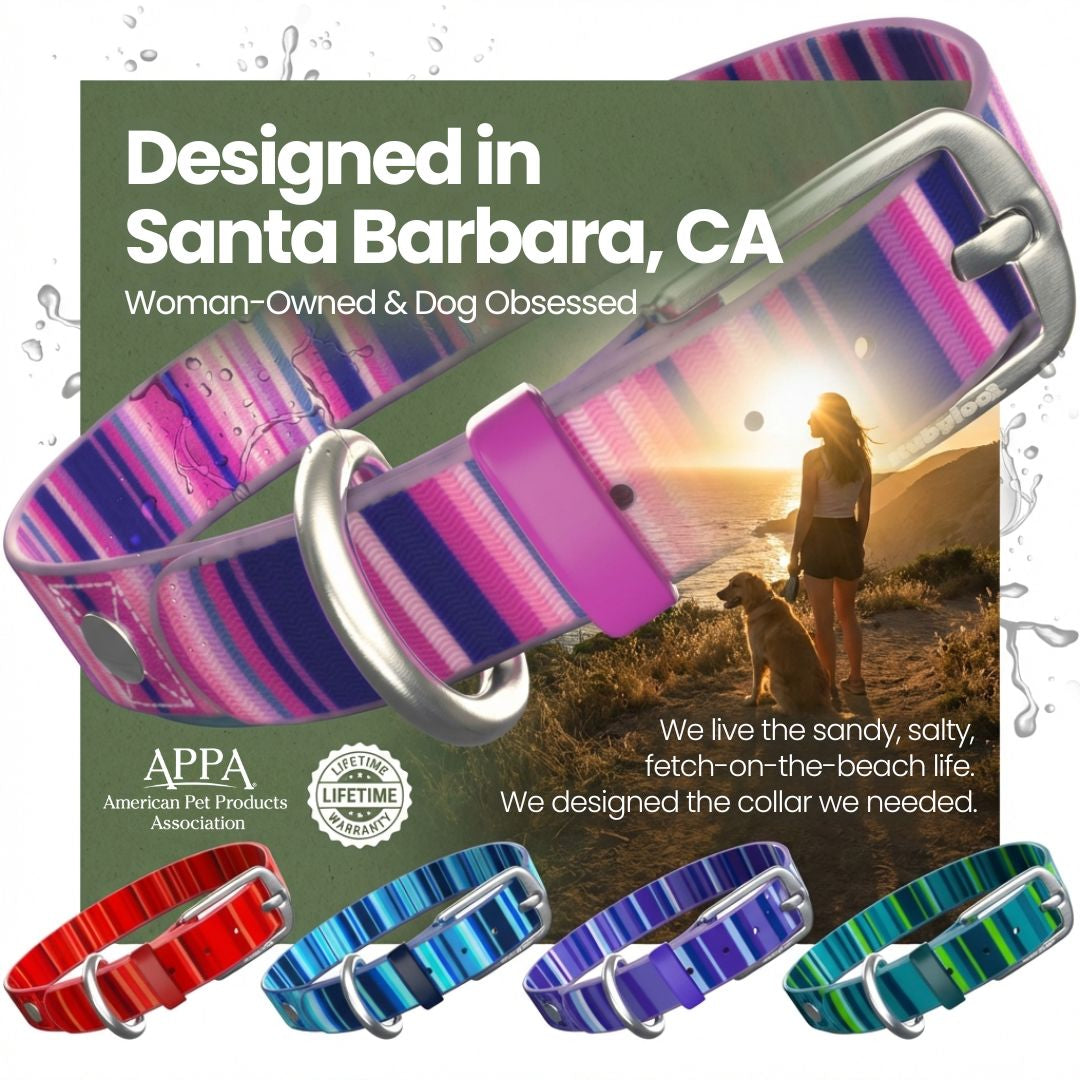 Rubyloo Waterproof Dog Collar | Washable & Stink-Proof | Poly-Coated Nylon | S, M or L | 5 Colors