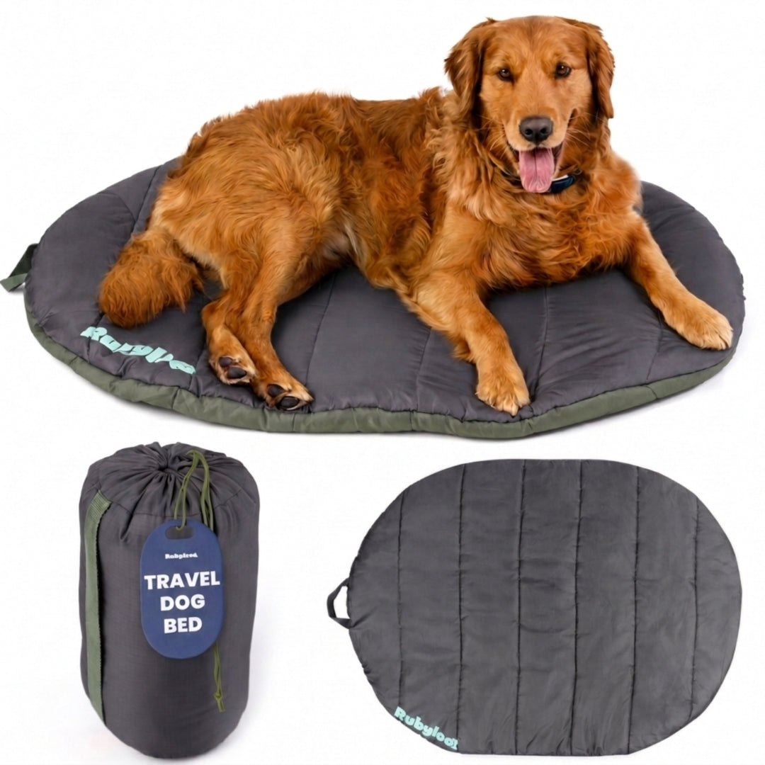 Rubyloo Travel Dog Bed | Foldable & Packable | Ripstop Nylon | Small, Medium or Large