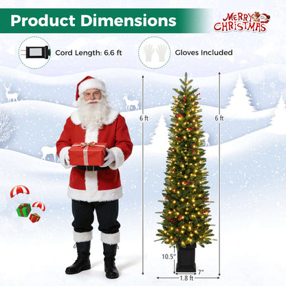 Potted Christmas tree with warm white lights, shown with 6-foot height dimensions