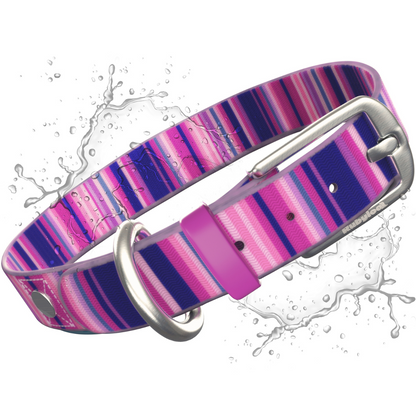 Rubyloo Waterproof Dog Collar | Washable & Stink-Proof | Poly-Coated Nylon | S, M or L | 5 Colors