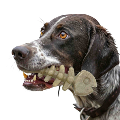 SodaPup Fish Bone Nylon Chew Toy for Aggressive Chewers | USA Made - Niksstuff