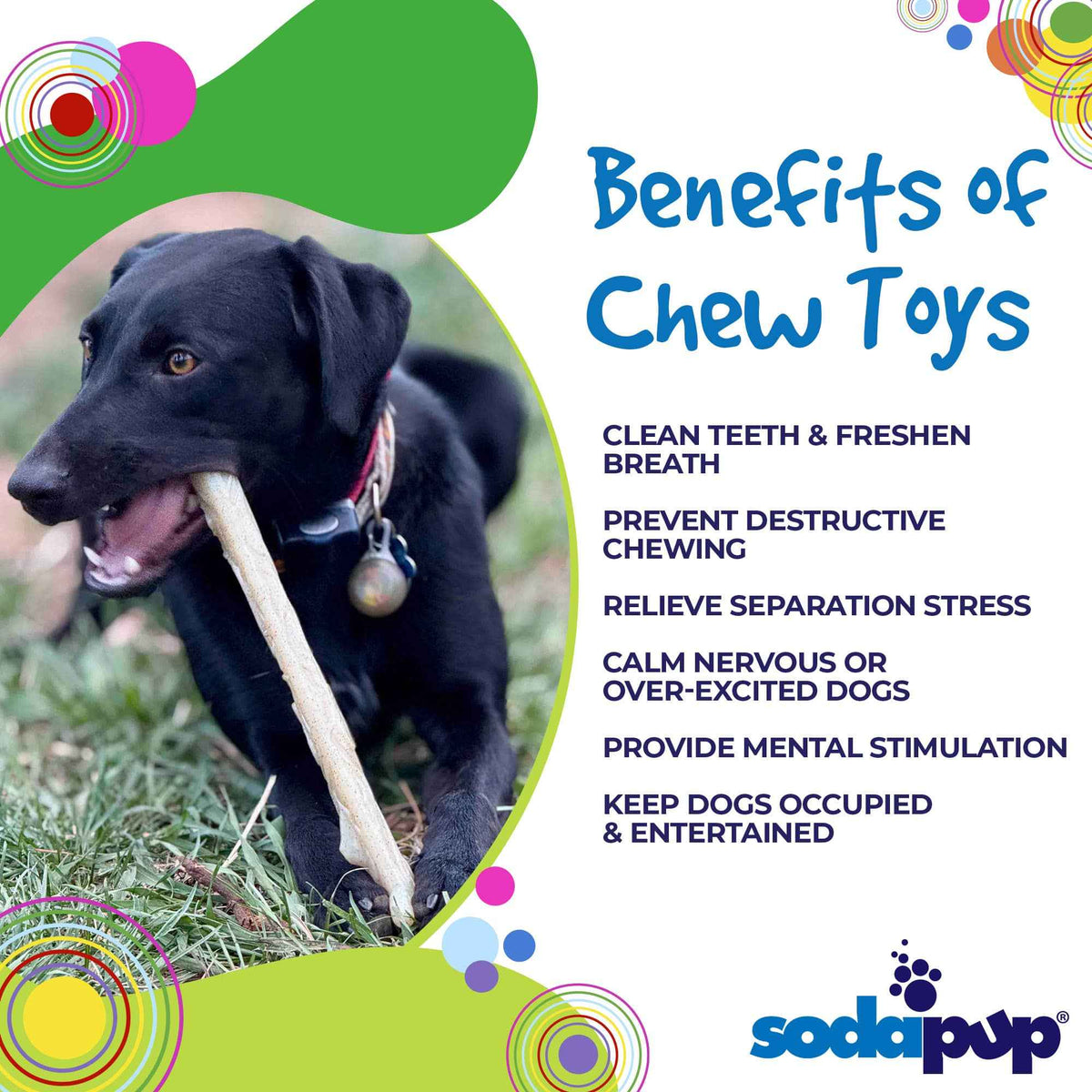 SodaPup Glow in the Dark Nylon Chew Stick for Power Chewers