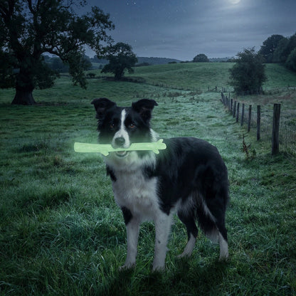 SodaPup Glow in the Dark Nylon Chew Stick for Power Chewers