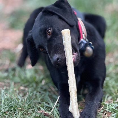 SodaPup Durable Nylon Chew Stick for Power Chewers | USA Made - Niksstuff