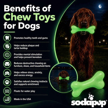 SodaPup PUP-X Glow in the Dark Rubber Bone Dog Toy - Large