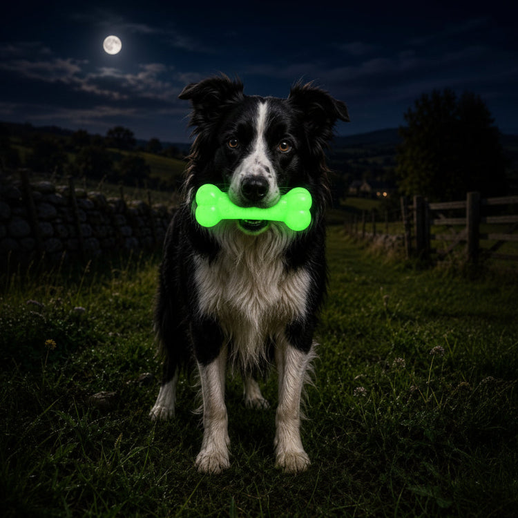 SodaPup PUP-X Glow in the Dark Rubber Bone Dog Toy - Large
