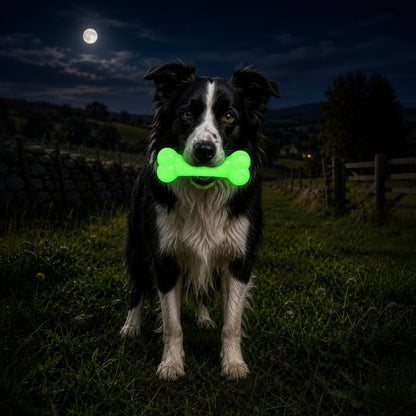 SodaPup PUP-X Glow in the Dark Rubber Bone Dog Toy - Large