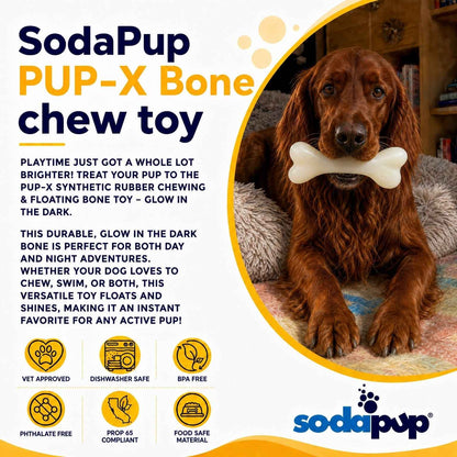 SodaPup PUP-X Glow in the Dark Rubber Bone Dog Toy - Large