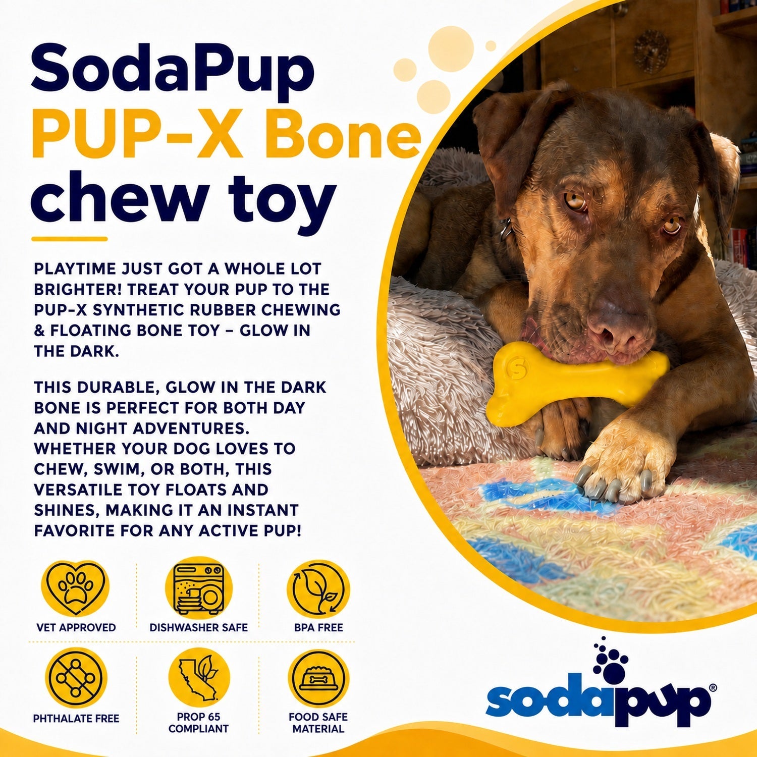 SodaPup PUP-X Rubber Bone Dog Toy | Floats | Chew Toy | USA Made - Niksstuff