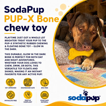 SodaPup PUP-X Rubber Bone Dog Toy | Floats | Chew Toy | USA Made - Niksstuff