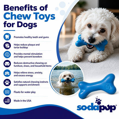 SodaPup PUP-X Rubber Bone Dog Toy | Floats | Chew Toy | USA Made - Niksstuff