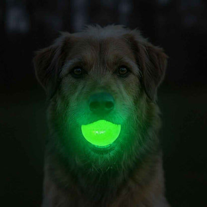 SodaPup Glow in the Dark Glitter Ball 2-Pack Dog Toy - 2.5"