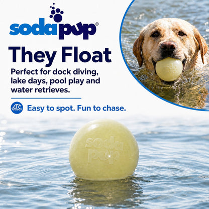 SodaPup Glow in the Dark Glitter Ball 2-Pack Dog Toy - 2.5"