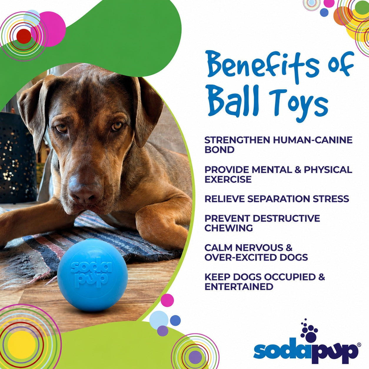 SodaPup Squeak Ball | Durable Squeaky Dog Toy | Floats | USA Made - Niksstuff