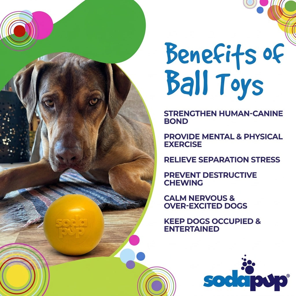 SodaPup Squeak Ball | Durable Squeaky Dog Toy | Floats | USA Made - Niksstuff