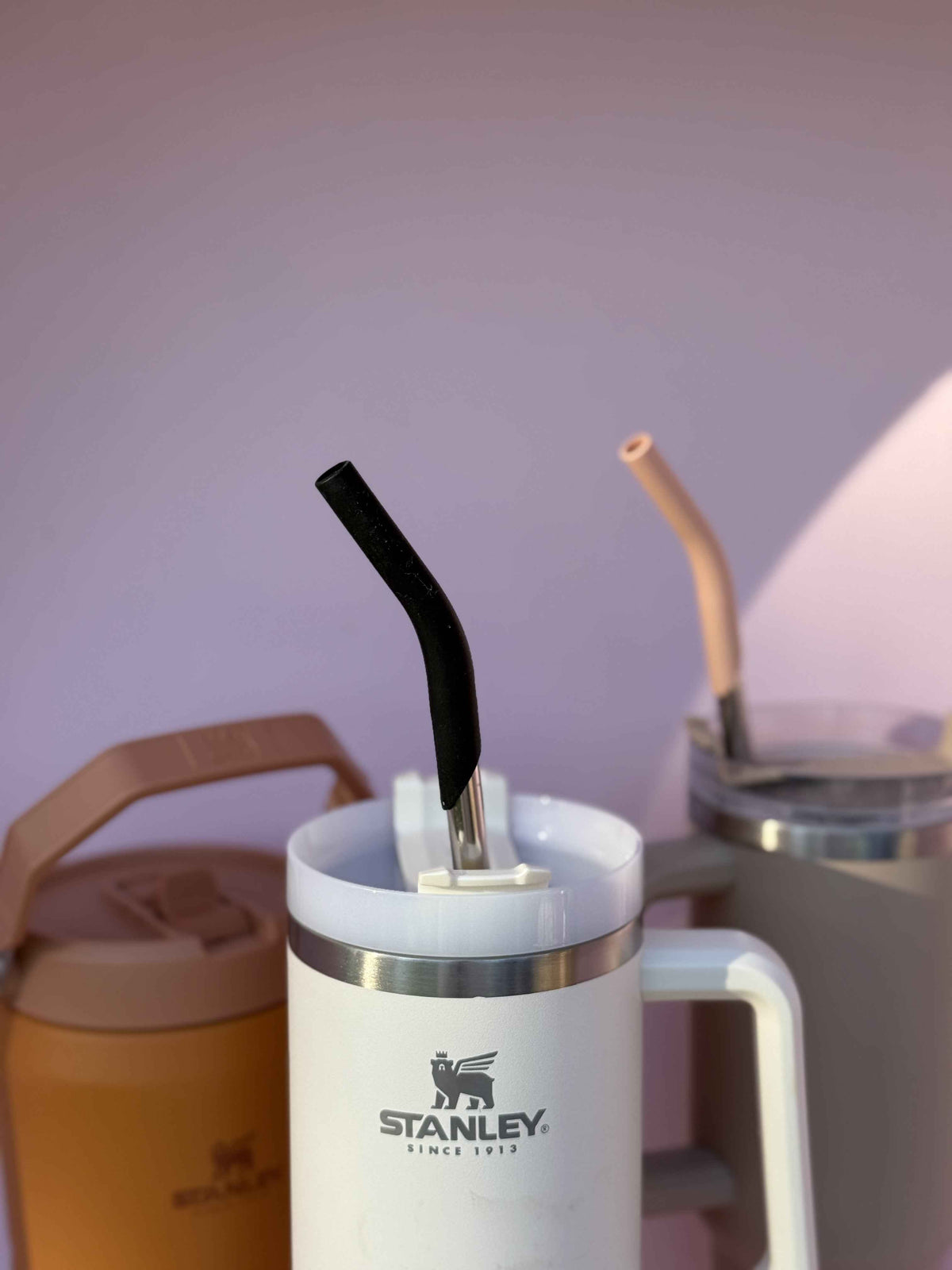 purifyou 14.5" Stainless Steel Straws with Silicone Tips - Set of 5
