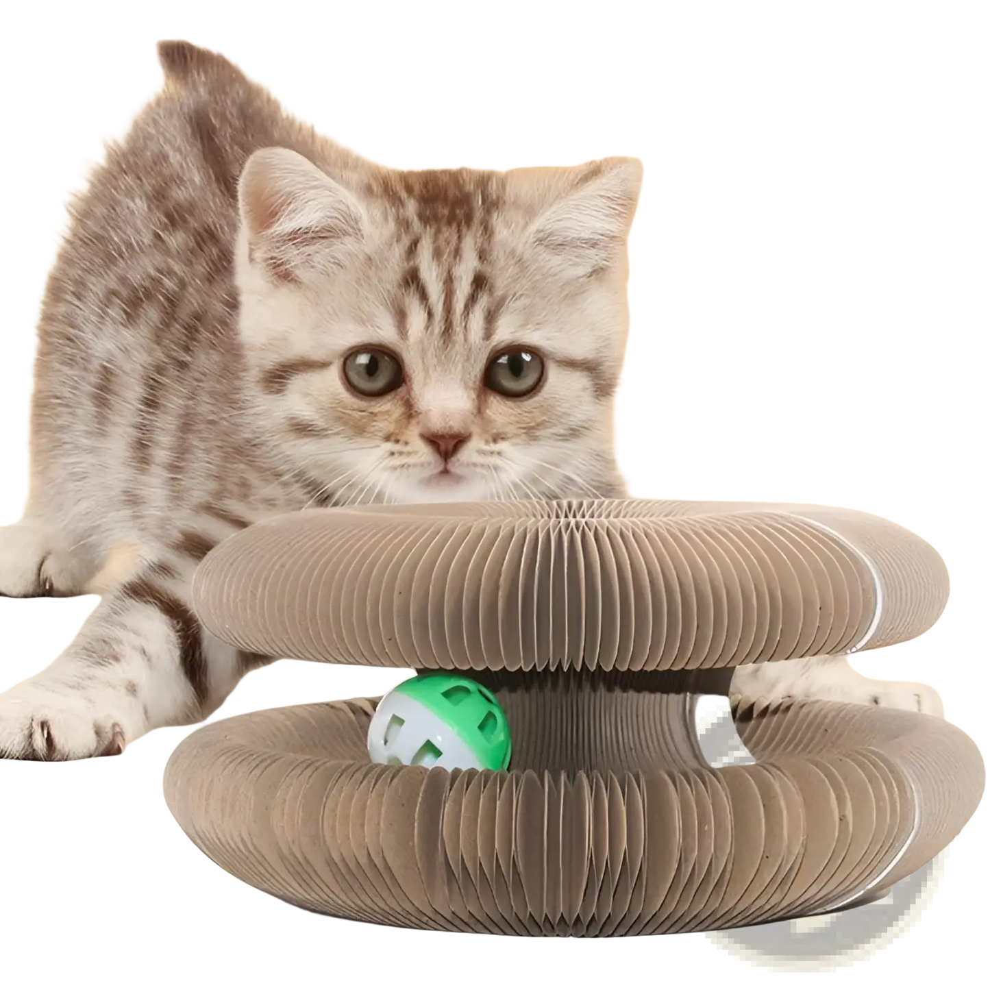 Cat Scratching Board Organ Toy with Bell Ball | Corrugated Cardboard | Changeable Shape | Brown