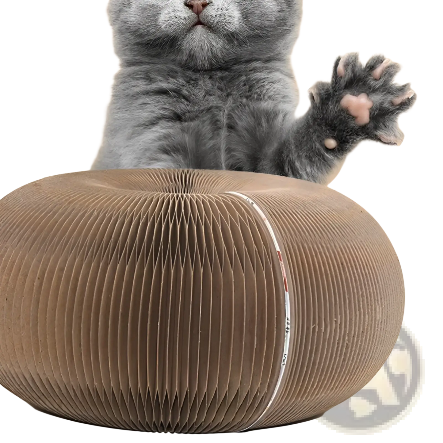 Cat Scratching Board Organ Toy with Bell Ball | Corrugated Cardboard | Changeable Shape | Brown
