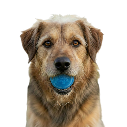 SodaPup Glitter Ball Dog Toy - Treat Dispensing Floating Fetch Ball