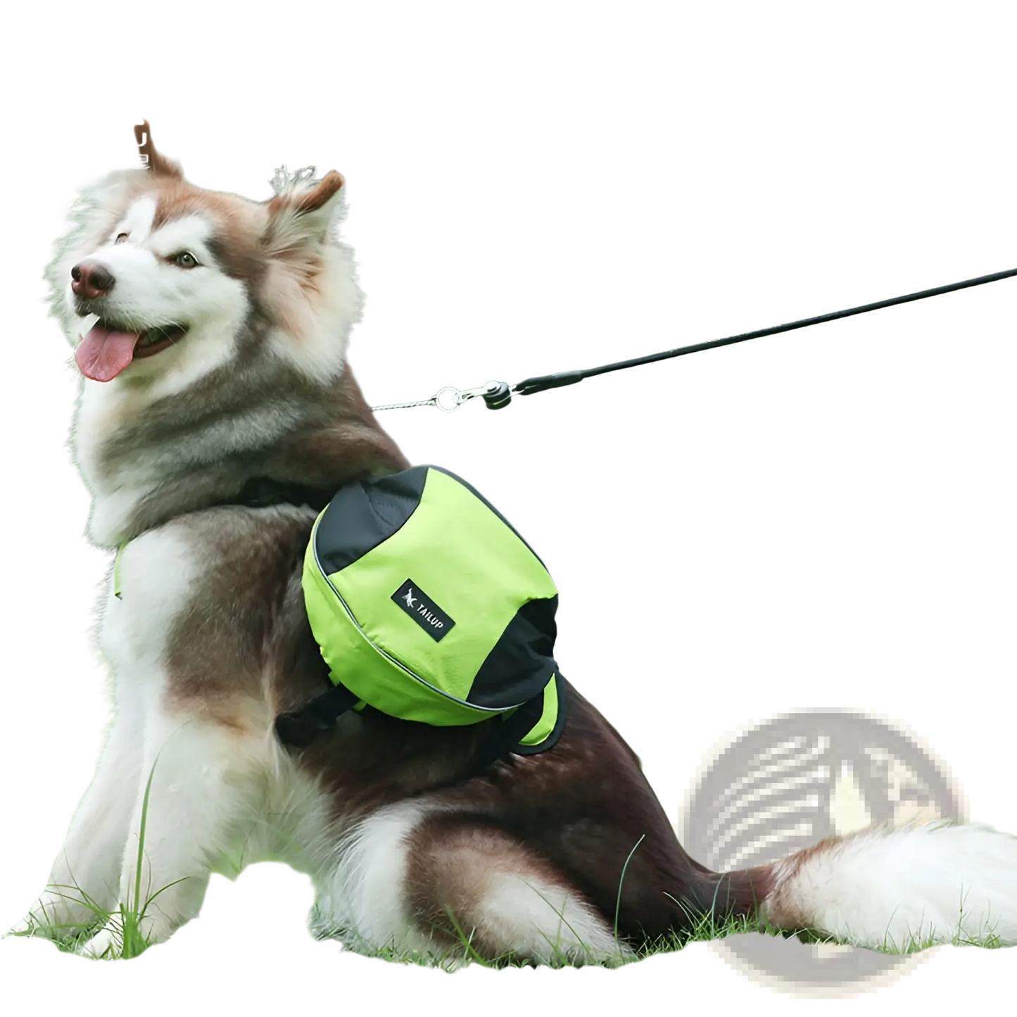 Dog Backpack | Oxford Cloth | Reflective Stripes | Adjustable | S, M or L | 4 Colors