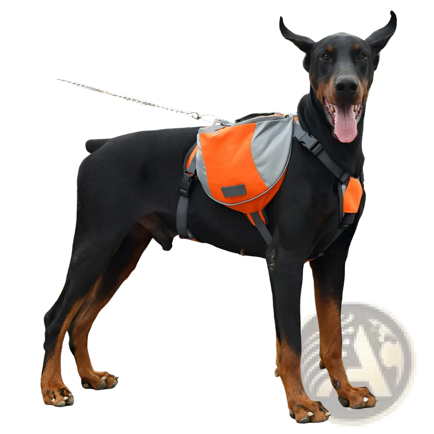 Dog Backpack | Oxford Cloth | Reflective Stripes | Adjustable | S, M or L | 4 Colors