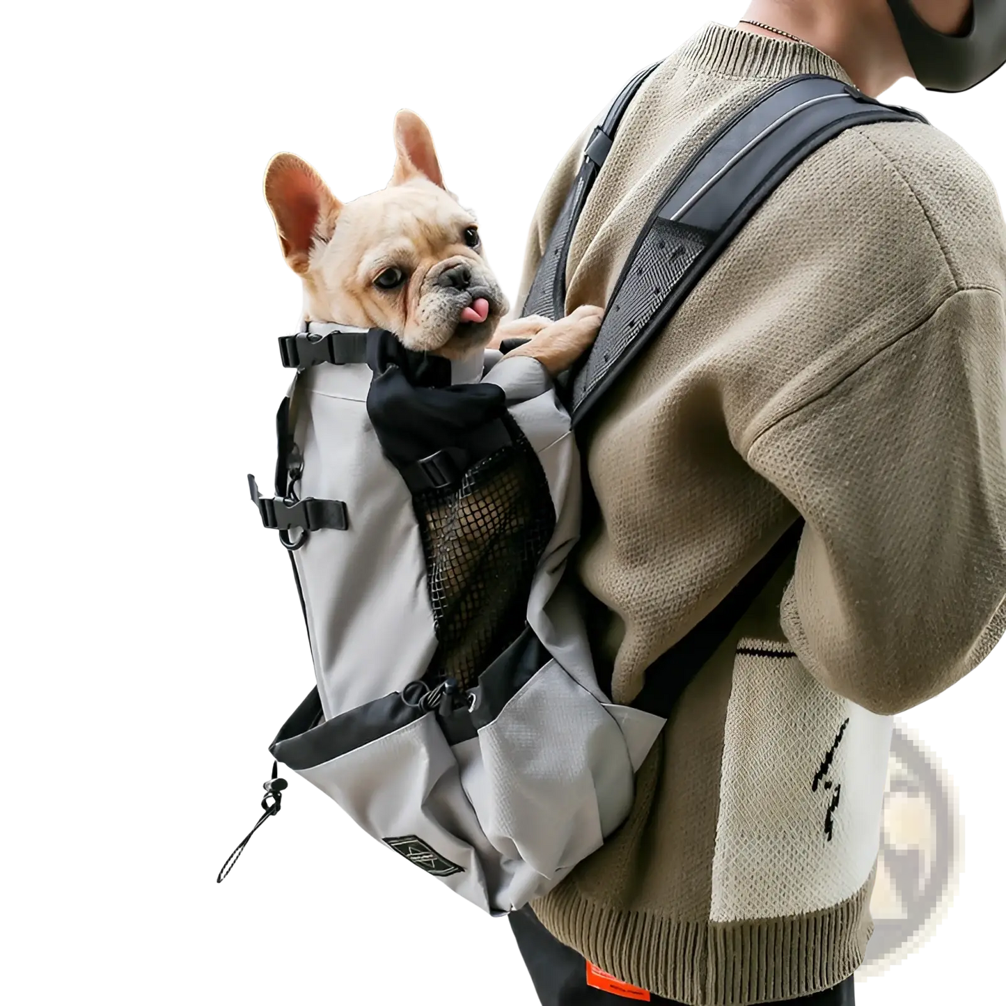 Dog Carrier Backpack | Portable Mesh Travel Bag | 6 Colors | S–XL | Breathable Mesh Panels | ARBA Global - Niksstuff