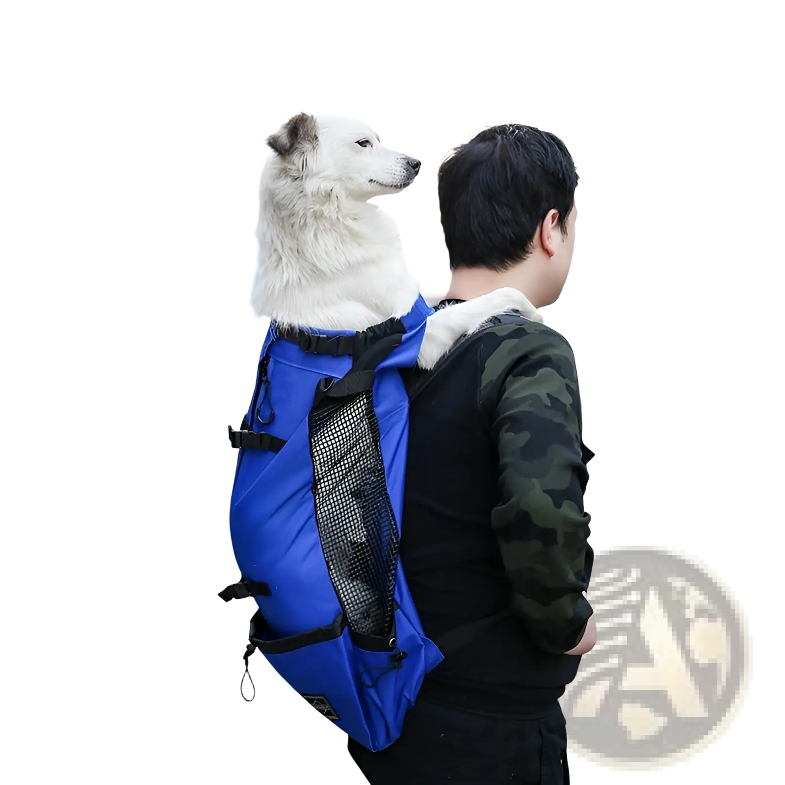Dog Carrier Backpack | Portable Mesh Travel Bag | 6 Colors | S–XL | Breathable Mesh Panels | ARBA Global - Niksstuff