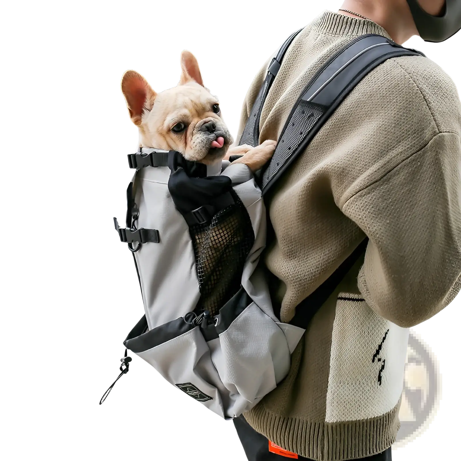 Dog Carrier Backpack | Portable Mesh Travel Bag | 6 Colors | S–XL | Breathable Mesh Panels | ARBA Global - Niksstuff