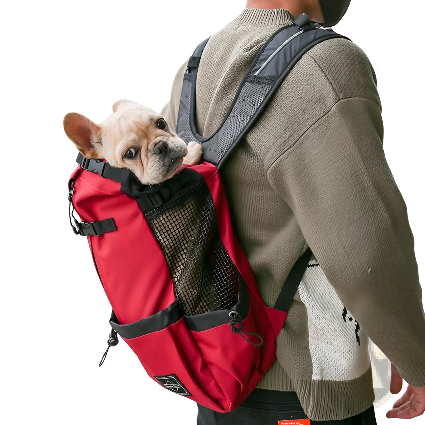 Dog Carrier Backpack | Portable Mesh Travel Bag | 6 Colors | S–XL | Breathable Mesh Panels | ARBA Global - Niksstuff
