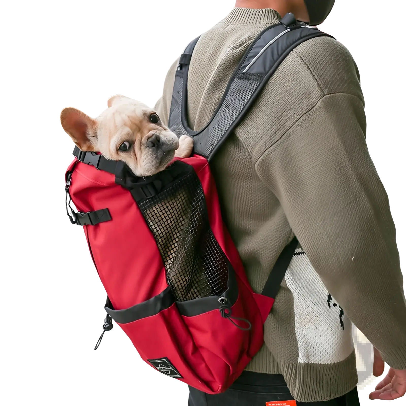 Dog Carrier Backpack | Portable Mesh Travel Bag | 6 Colors | S–XL | Breathable Mesh Panels | ARBA Global - Niksstuff
