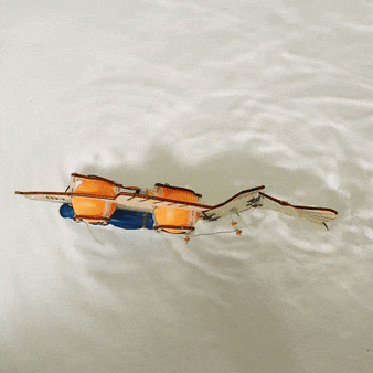 Fish Robot DIY Kit | Bionics & Robotics STEM Toy for Kids Ages 10+ - Niksstuff