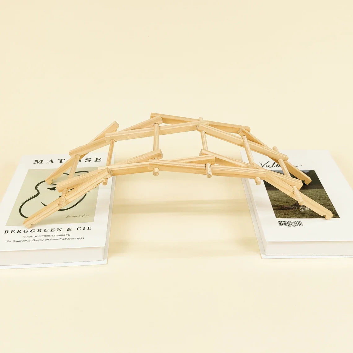 Da Vinci's Bridge DIY Kit | Engineering STEM Toy for Kids Ages 6+ - Niksstuff