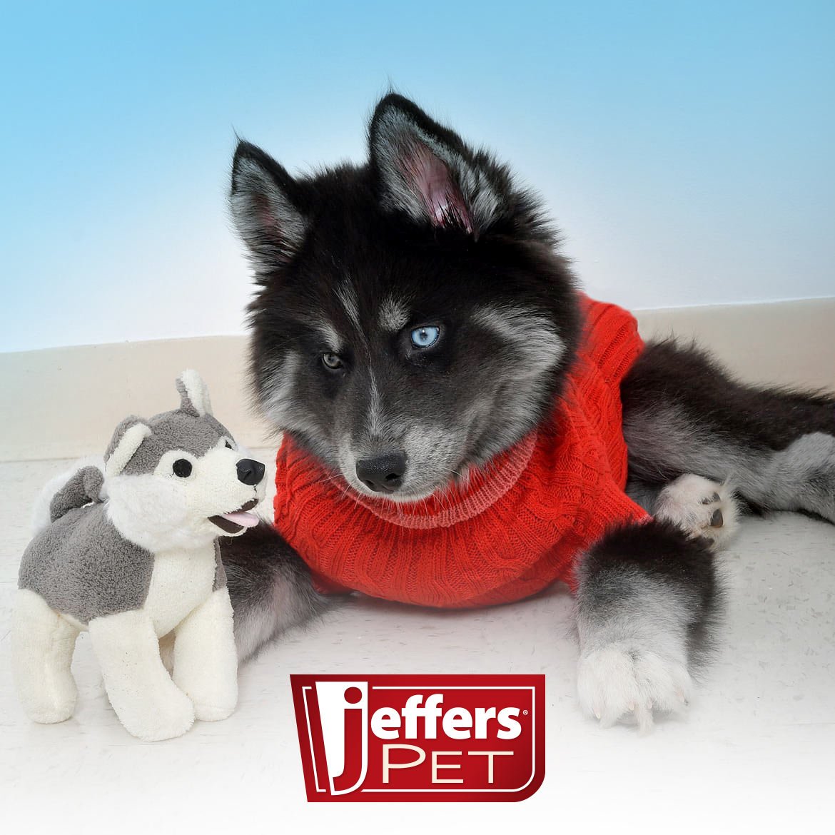 Jeffers Animal Cuddlers Plush Squeaky Dog Toys | 8" | Pink Pig or Gray/White Dog - Niksstuff