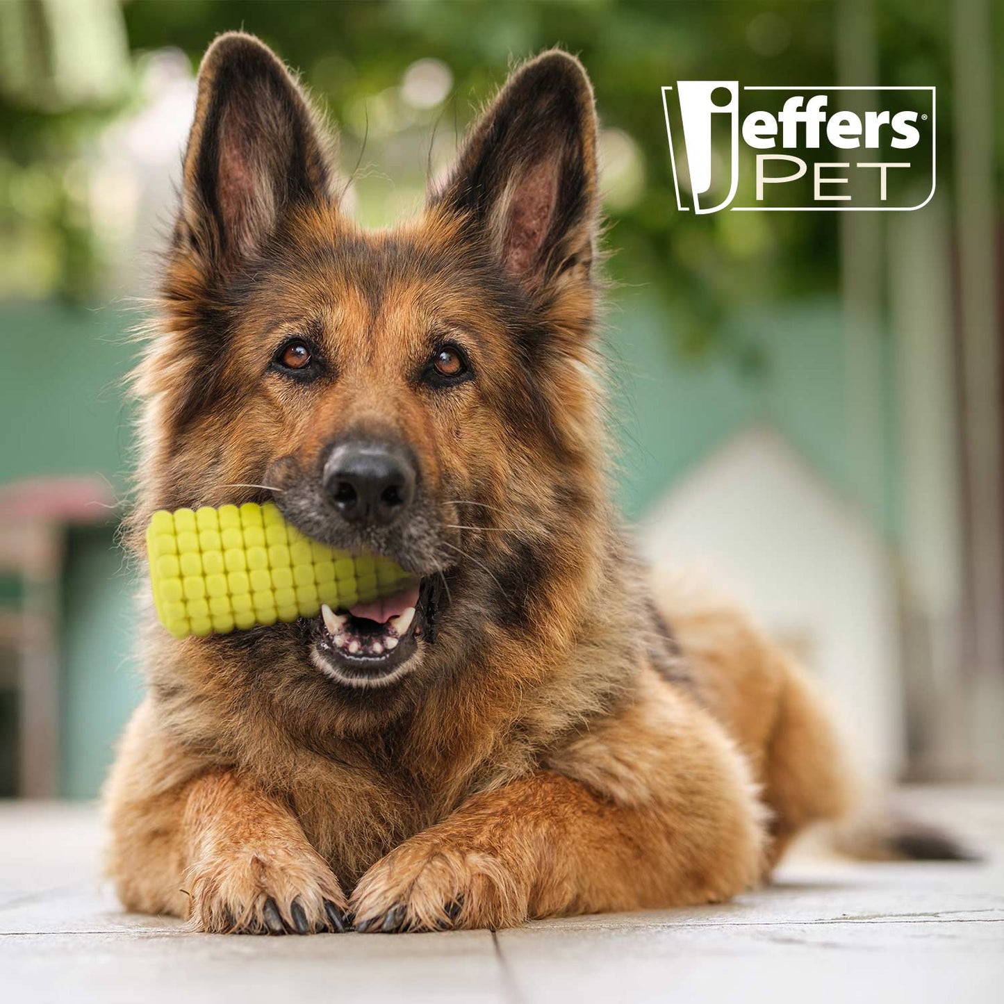 Jeffers Corn Cob Stuffable Treat Dispenser Dog Chew Toy | Natural Rubber | Medium | 1 or 2 Pack