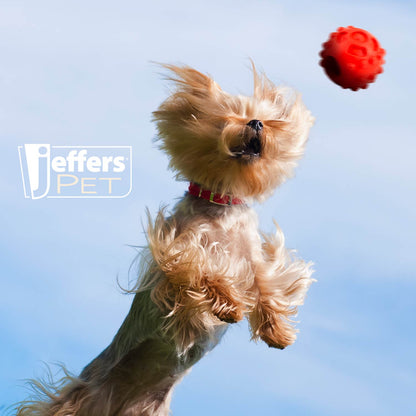 Jeffers Hollow Red Knobby Ball Dog Chew Toy | Treat Dispenser | Natural Rubber | Medium | 1 or 2 Pack