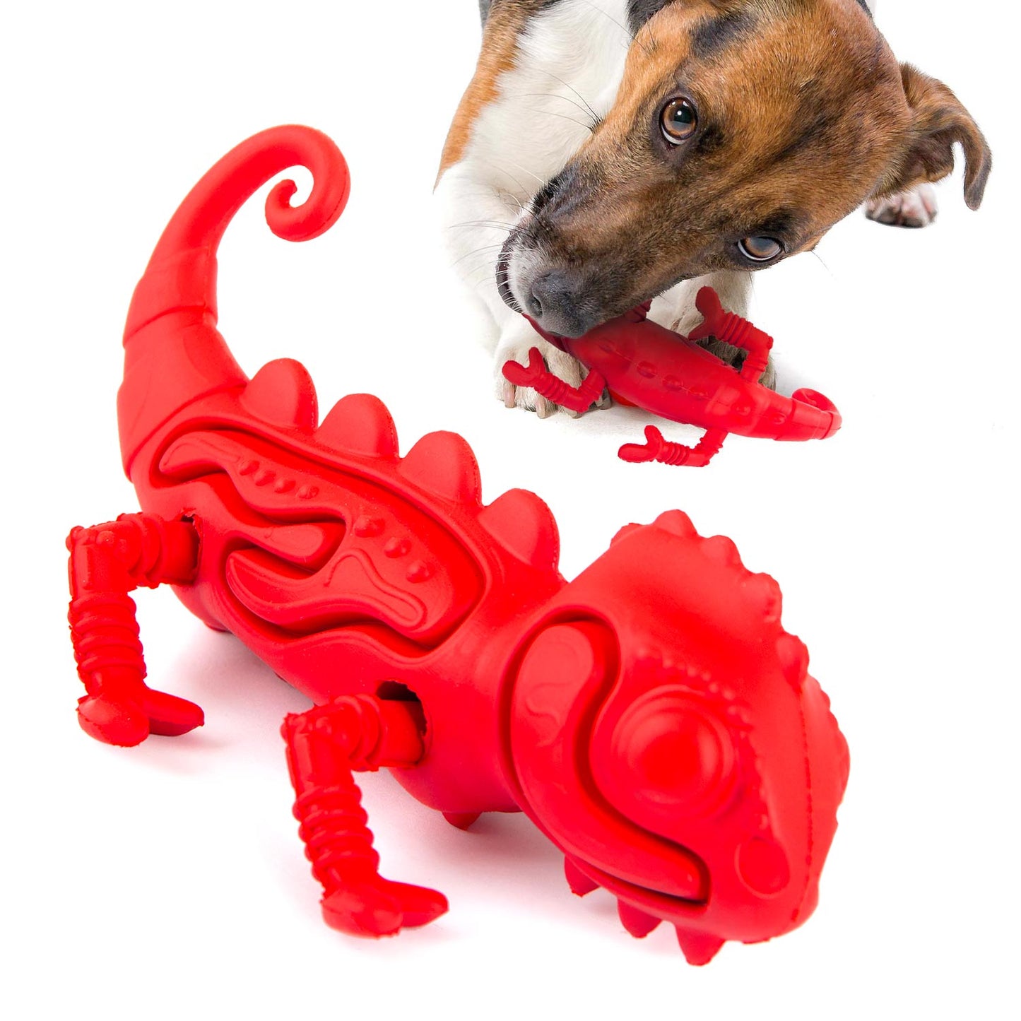 Jeffers Red Chameleon Natural Rubber Dental Chew Toy | Medium Chewers | Eco-Friendly | Jeffers - Niksstuff