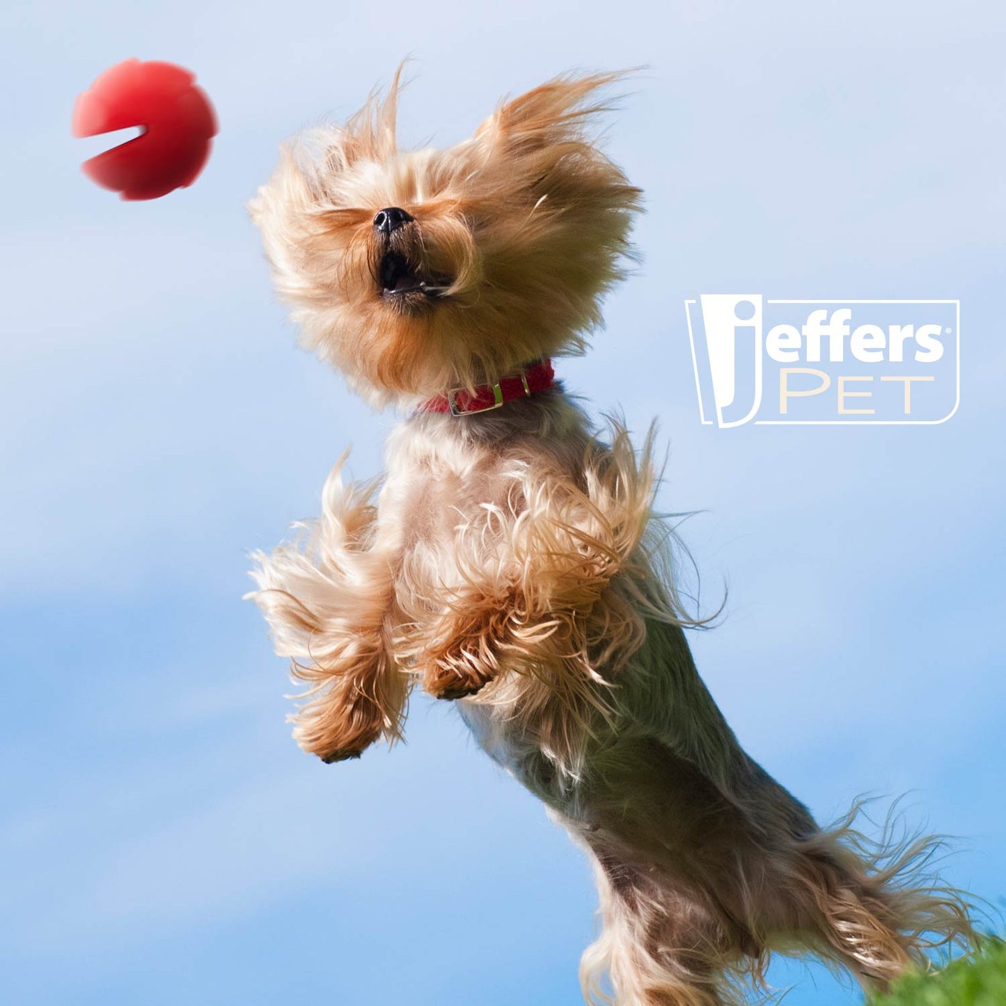 Jeffers Red Millipede Dog Chew Toy | Treat Dispenser | Natural Rubber | Small, Medium or Large | 1 or 2 Pack