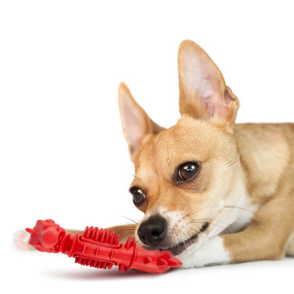 Jeffers Red Seahorse Natural Rubber Dental Chew Toy | Small | Vanilla Scent | Eco-Friendly | Jeffers - Niksstuff