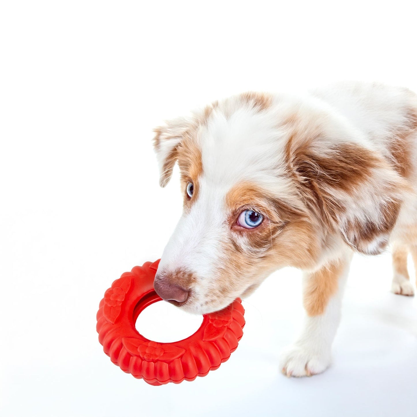 Jeffers Red Virgo Tugger Dog Toy | Tug-of-War + Chew | Natural Rubber | Small or Large | 1 or 2 Pack