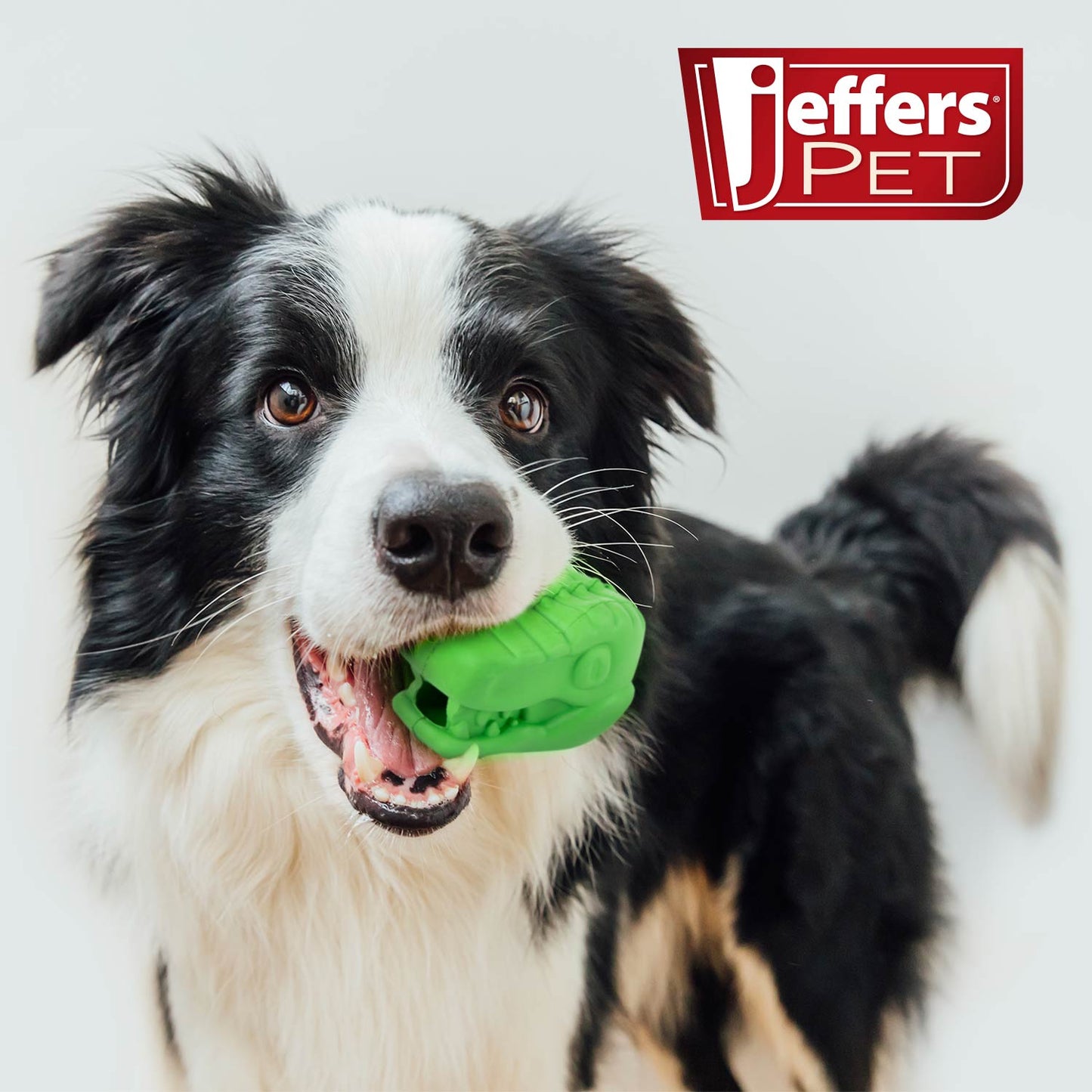 Jeffers T-Rex Dog Chew Toy | Treat Dispenser | Natural Rubber | Green | Small, Medium or Large | 1 or 2 Pack