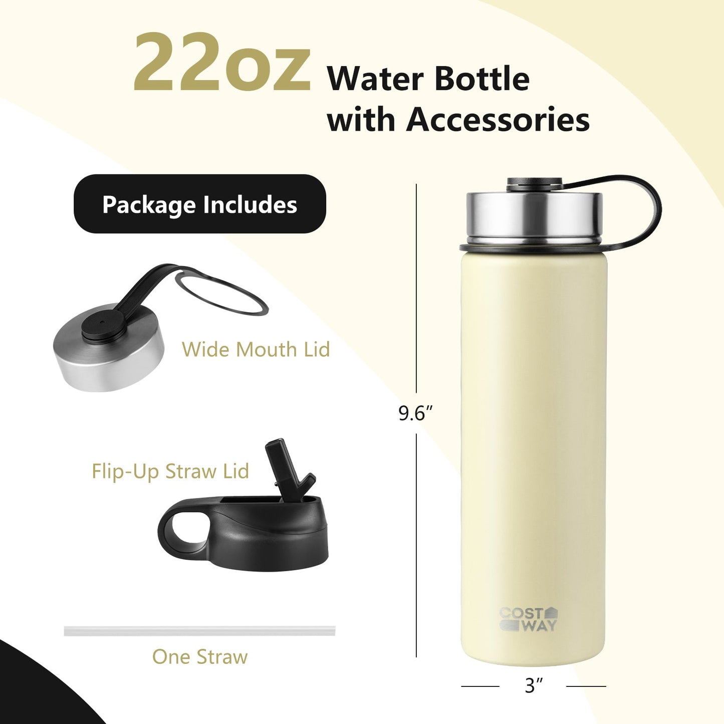 22 Oz Insulated Stainless Steel Water Bottle | 2 Lids & Straw | 7 Colors - Niksstuff